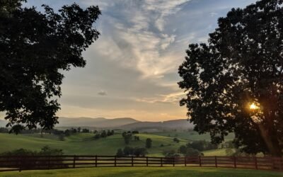 Does Virginia Accept Out-of-State Notaries?